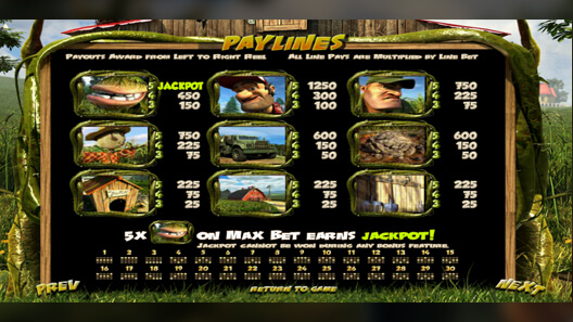 Cosas Que Tener en Cuenta